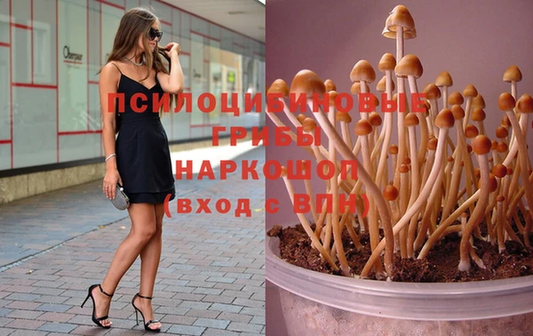 мескалин Белокуриха