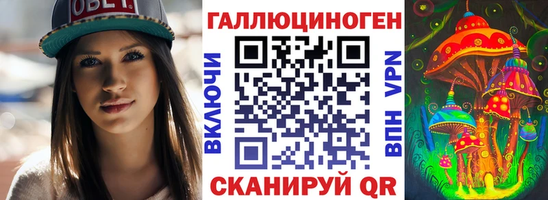 нарко площадка какой сайт  Горно-Алтайск  Галлюциногенные грибы Psilocybe 
