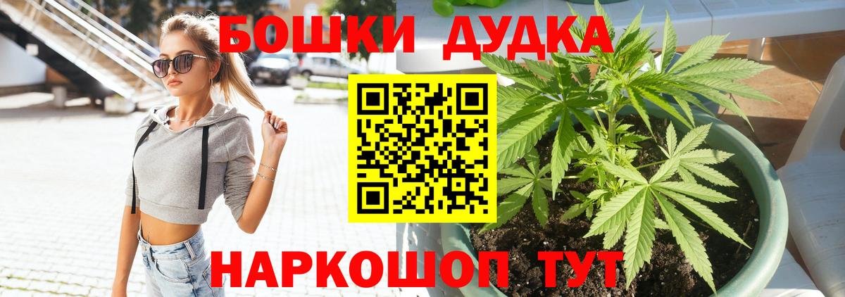 Канабис планчик  Бошки марихуана сатива  Вход с VPN  Каннабис гибрид  Горно-Алтайск 
